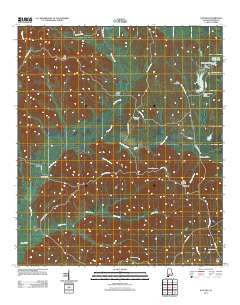 Natchez Alabama Historical topographic map, 1:24000 scale, 7.5 X 7.5 Minute, Year 2011