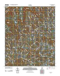 Nectar Alabama Historical topographic map, 1:24000 scale, 7.5 X 7.5 Minute, Year 2011