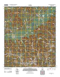 New Brockton Alabama Historical topographic map, 1:24000 scale, 7.5 X 7.5 Minute, Year 2011