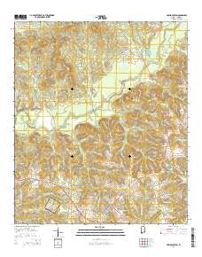 New Brockton Alabama Current topographic map, 1:24000 scale, 7.5 X 7.5 Minute, Year 2014