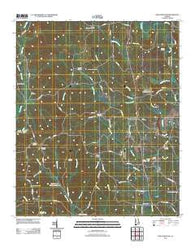 New Lexington Alabama Historical topographic map, 1:24000 scale, 7.5 X 7.5 Minute, Year 2011