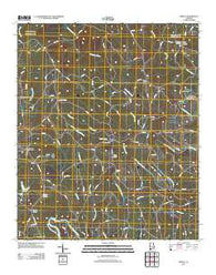 Newell Alabama Historical topographic map, 1:24000 scale, 7.5 X 7.5 Minute, Year 2011