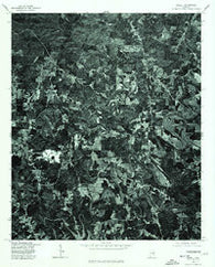 Newell Alabama Historical topographic map, 1:24000 scale, 7.5 X 7.5 Minute, Year 1975