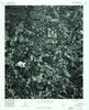 Newell Alabama Historical topographic map, 1:24000 scale, 7.5 X 7.5 Minute, Year 1975