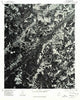 Oneonta Alabama Historical topographic map, 1:24000 scale, 7.5 X 7.5 Minute, Year 1975