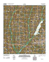 Opp West Alabama Historical topographic map, 1:24000 scale, 7.5 X 7.5 Minute, Year 2011