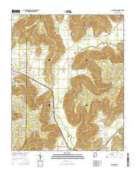 Paint Rock Alabama Current topographic map, 1:24000 scale, 7.5 X 7.5 Minute, Year 2014