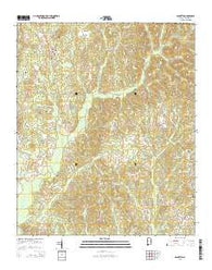 Palmetto Alabama Current topographic map, 1:24000 scale, 7.5 X 7.5 Minute, Year 2014