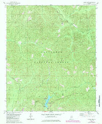 Payne Lake Alabama Historical topographic map, 1:24000 scale, 7.5 X 7.5 Minute, Year 1980