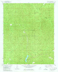 Payne Lake Alabama Historical topographic map, 1:24000 scale, 7.5 X 7.5 Minute, Year 1980
