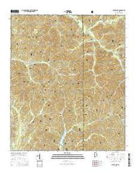 Payne Lake Alabama Current topographic map, 1:24000 scale, 7.5 X 7.5 Minute, Year 2014