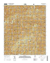 Piedmont SE Alabama Current topographic map, 1:24000 scale, 7.5 X 7.5 Minute, Year 2014