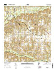 Pinckard Alabama Current topographic map, 1:24000 scale, 7.5 X 7.5 Minute, Year 2014