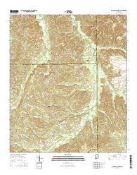 Pine Apple South Alabama Current topographic map, 1:24000 scale, 7.5 X 7.5 Minute, Year 2014