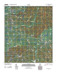 Pleasant Ridge Alabama Historical topographic map, 1:24000 scale, 7.5 X 7.5 Minute, Year 2011