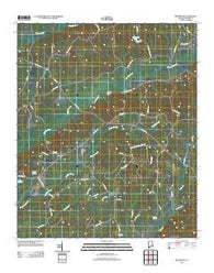Reform SW Alabama Historical topographic map, 1:24000 scale, 7.5 X 7.5 Minute, Year 2011