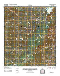 River Falls Alabama Historical topographic map, 1:24000 scale, 7.5 X 7.5 Minute, Year 2011