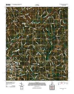Roanoke East Alabama Historical topographic map, 1:24000 scale, 7.5 X 7.5 Minute, Year 2011