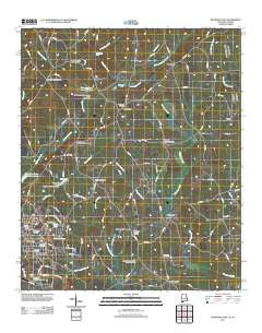 Roanoke East Alabama Historical topographic map, 1:24000 scale, 7.5 X 7.5 Minute, Year 2011
