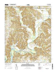 Salem Alabama Current topographic map, 1:24000 scale, 7.5 X 7.5 Minute, Year 2014
