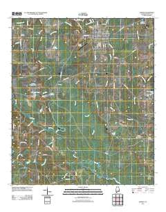 Samson Alabama Historical topographic map, 1:24000 scale, 7.5 X 7.5 Minute, Year 2011