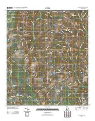 Sellersville Alabama Historical topographic map, 1:24000 scale, 7.5 X 7.5 Minute, Year 2011