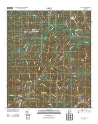 Sims Chapel Alabama Historical topographic map, 1:24000 scale, 7.5 X 7.5 Minute, Year 2011