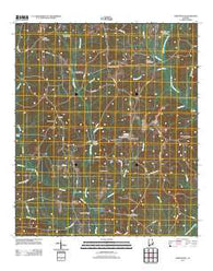 Skipperville Alabama Historical topographic map, 1:24000 scale, 7.5 X 7.5 Minute, Year 2011