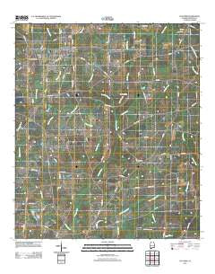 Slocomb Alabama Historical topographic map, 1:24000 scale, 7.5 X 7.5 Minute, Year 2011
