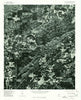 Talladega NW Alabama Historical topographic map, 1:24000 scale, 7.5 X 7.5 Minute, Year 1975