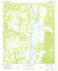 Twin Springs Alabama Historical topographic map, 1:24000 scale, 7.5 X 7.5 Minute, Year 1973