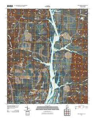 Twin Springs Alabama Historical topographic map, 1:24000 scale, 7.5 X 7.5 Minute, Year 2011