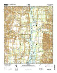 Twin Springs Alabama Current topographic map, 1:24000 scale, 7.5 X 7.5 Minute, Year 2014