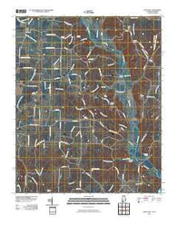 Union Hill Alabama Historical topographic map, 1:24000 scale, 7.5 X 7.5 Minute, Year 2010