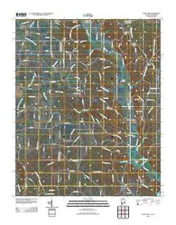 Union Hill Alabama Historical topographic map, 1:24000 scale, 7.5 X 7.5 Minute, Year 2011