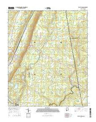 Valley Head Alabama Current topographic map, 1:24000 scale, 7.5 X 7.5 Minute, Year 2014