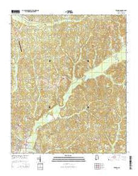 Vernon Alabama Current topographic map, 1:24000 scale, 7.5 X 7.5 Minute, Year 2014