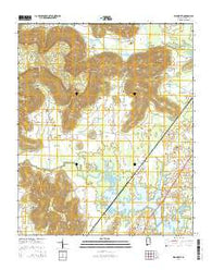 Wannville Alabama Current topographic map, 1:24000 scale, 7.5 X 7.5 Minute, Year 2014