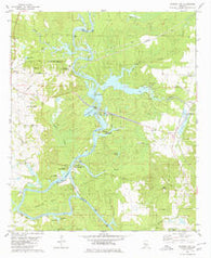 Warrior Dam Alabama Historical topographic map, 1:24000 scale, 7.5 X 7.5 Minute, Year 1980