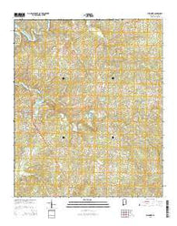 Wedowee Alabama Current topographic map, 1:24000 scale, 7.5 X 7.5 Minute, Year 2014