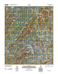 Wellington Alabama Historical topographic map, 1:24000 scale, 7.5 X 7.5 Minute, Year 2011
