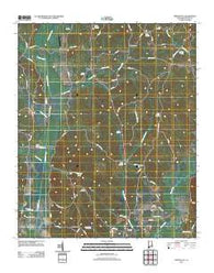 Winfield SE Alabama Historical topographic map, 1:24000 scale, 7.5 X 7.5 Minute, Year 2011