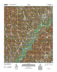 Youngblood Alabama Historical topographic map, 1:24000 scale, 7.5 X 7.5 Minute, Year 2011