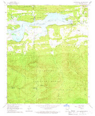 Blue Mountain Dam Arkansas Historical topographic map, 1:24000 scale, 7.5 X 7.5 Minute, Year 1966