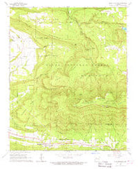 Blue Mountain Arkansas Historical topographic map, 1:24000 scale, 7.5 X 7.5 Minute, Year 1966