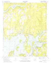 Brownsville Arkansas Historical topographic map, 1:24000 scale, 7.5 X 7.5 Minute, Year 1973