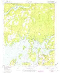 Brownsville Arkansas Historical topographic map, 1:24000 scale, 7.5 X 7.5 Minute, Year 1973