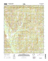 Cane Creek Arkansas Current topographic map, 1:24000 scale, 7.5 X 7.5 Minute, Year 2014