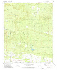 Chickalah Mountain West Arkansas Historical topographic map, 1:24000 scale, 7.5 X 7.5 Minute, Year 1972