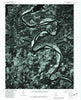 Cotter Arkansas Historical topographic map, 1:24000 scale, 7.5 X 7.5 Minute, Year 1979